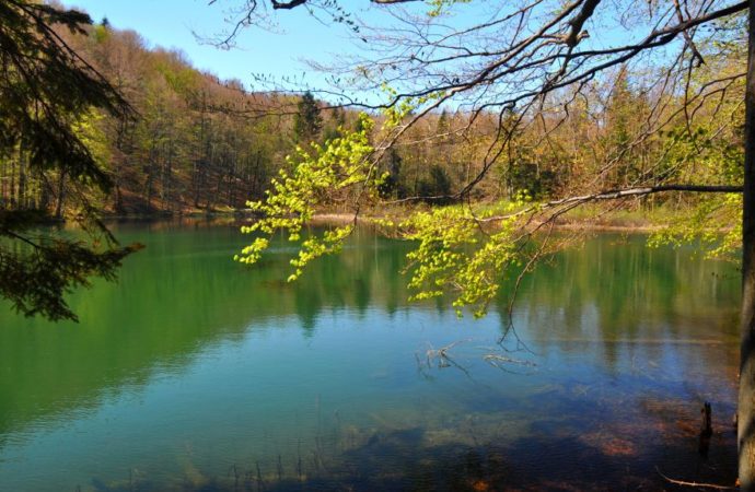 Jezioro duszatyńskie