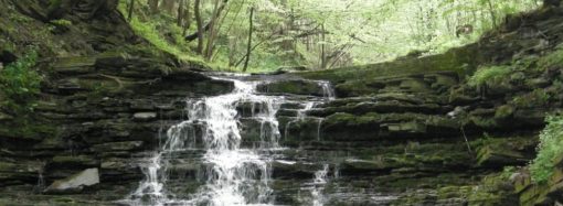 Zamek kamieniec