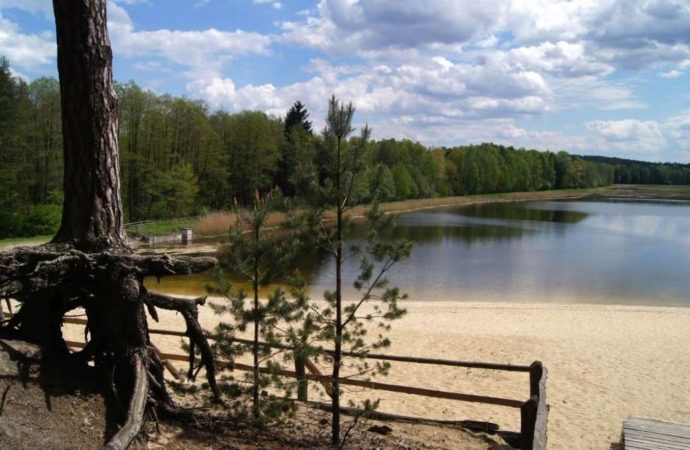 Zwierzyniec
